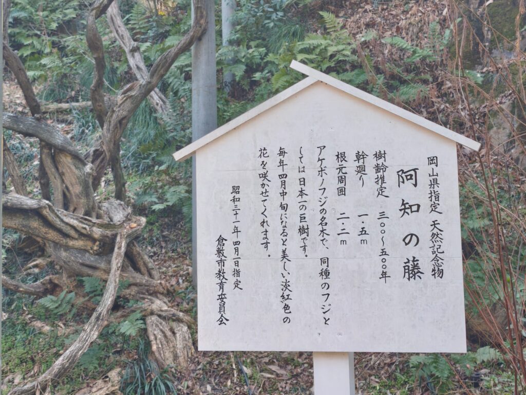 阿智神社 藤棚看板