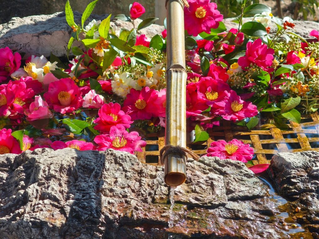 阿智神社 花手水