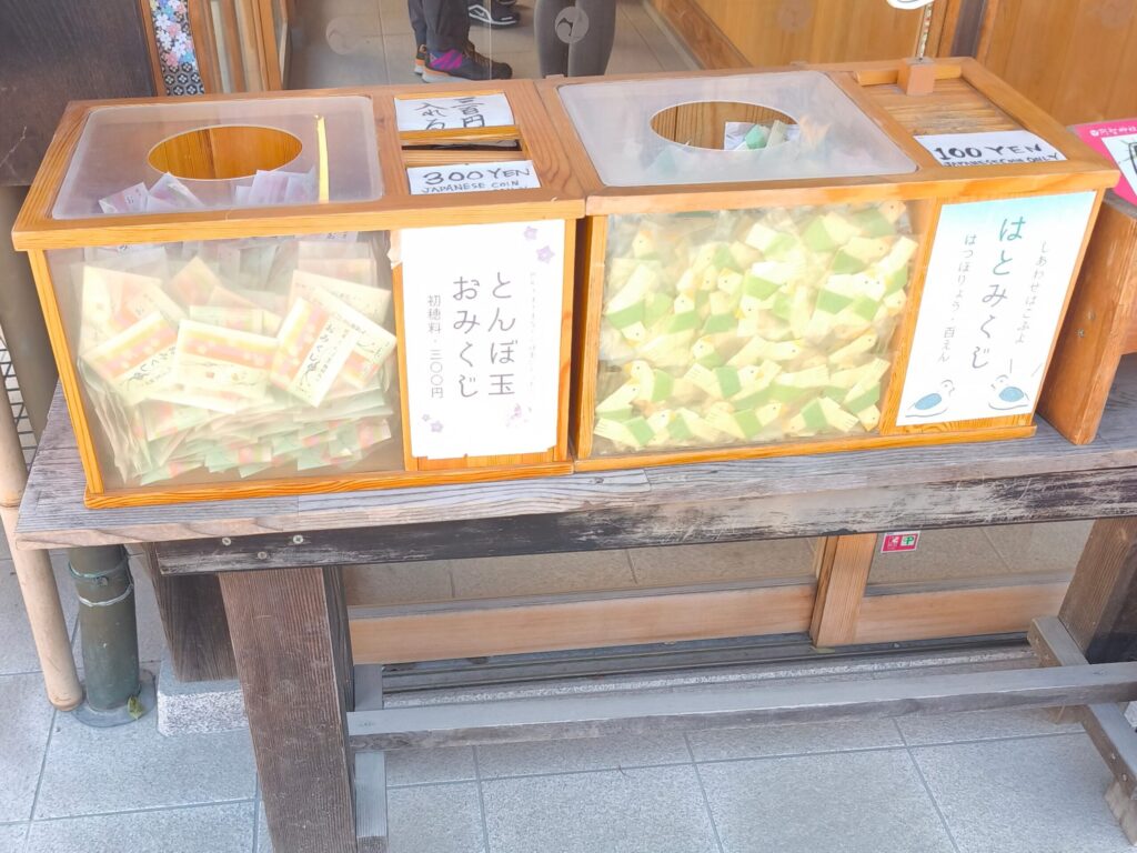 阿智神社 おみくじ