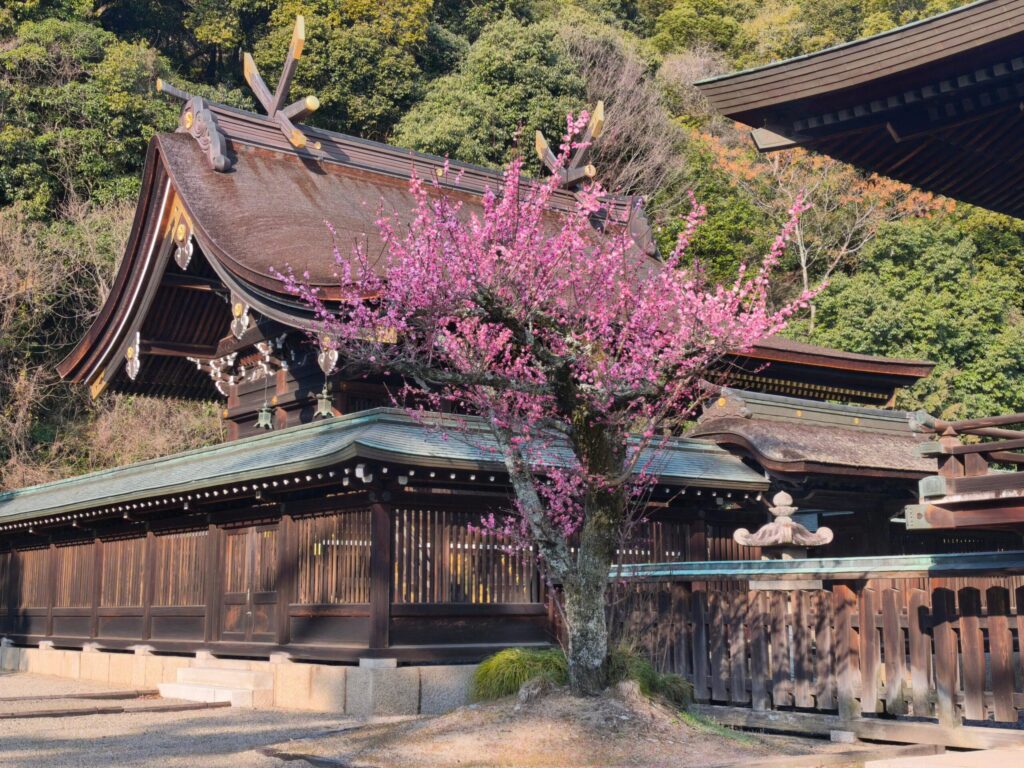 吉備津彦神社 本殿