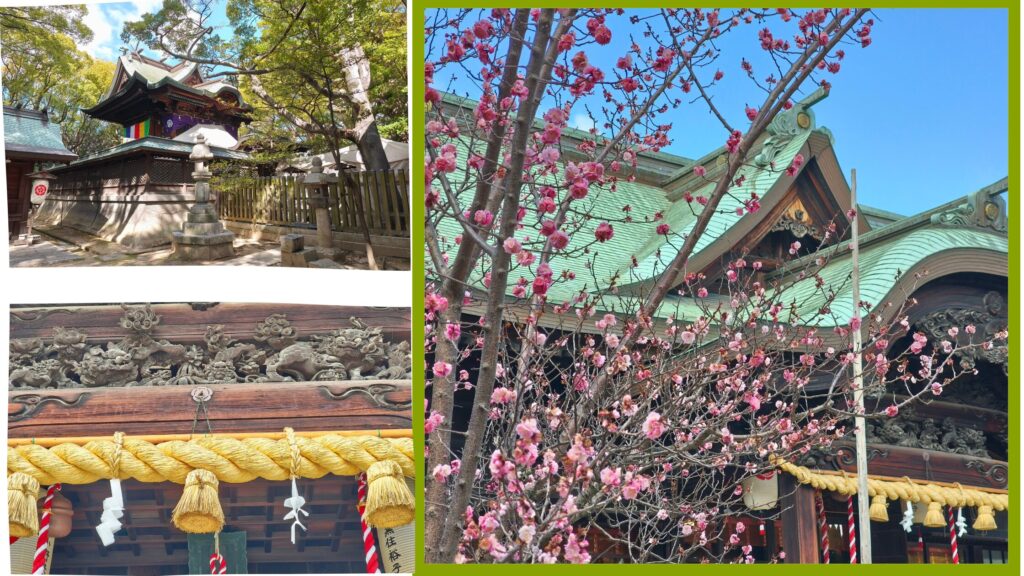 宗忠神社の拝殿本殿