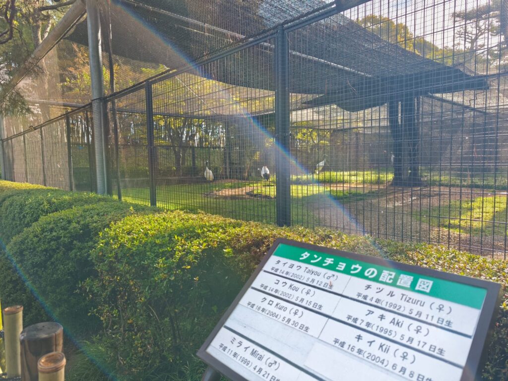 たんちょうつる