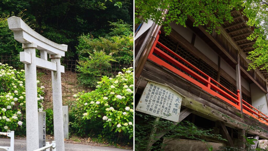 西法院 鳥居と紫陽花と弁天堂