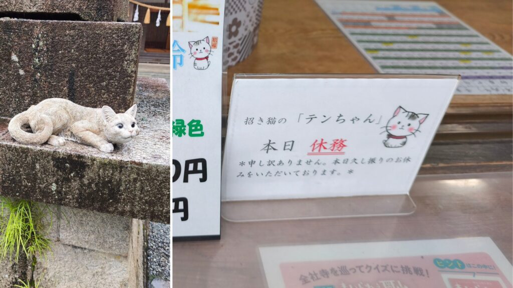看板猫テンちゃんの出勤を知らせる案内