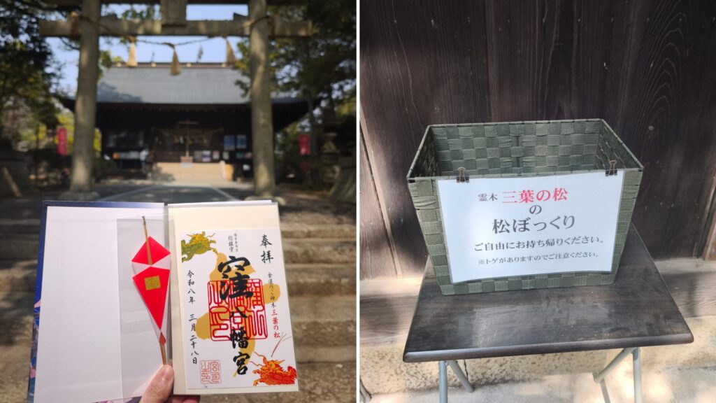 窪八幡宮 御朱印・松ぼっくり