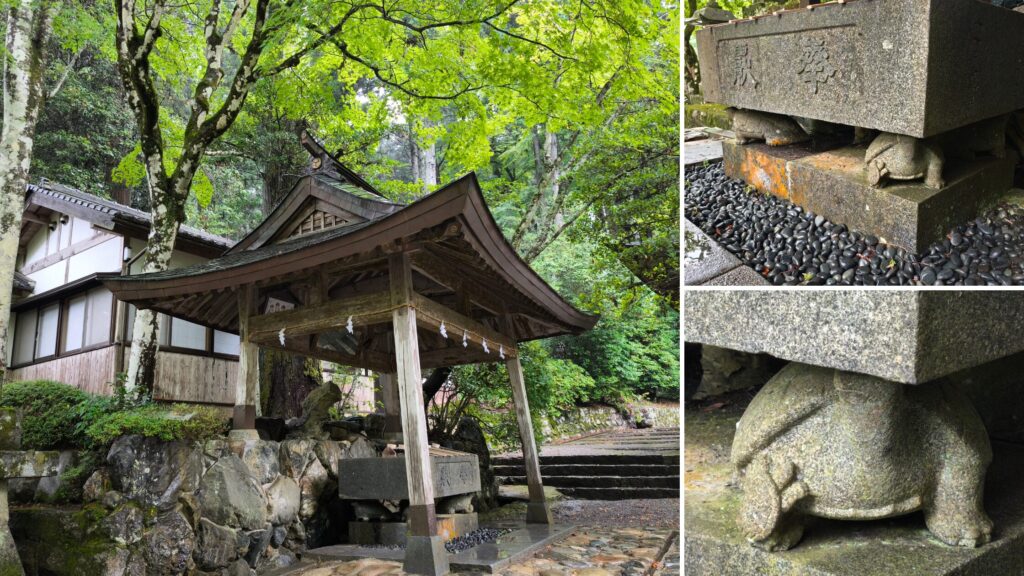 大津神社 お手水