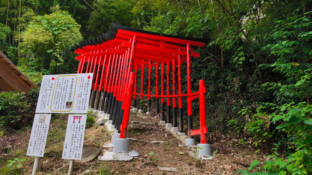 金山寺 本家筋最上稲荷社の千本鳥居