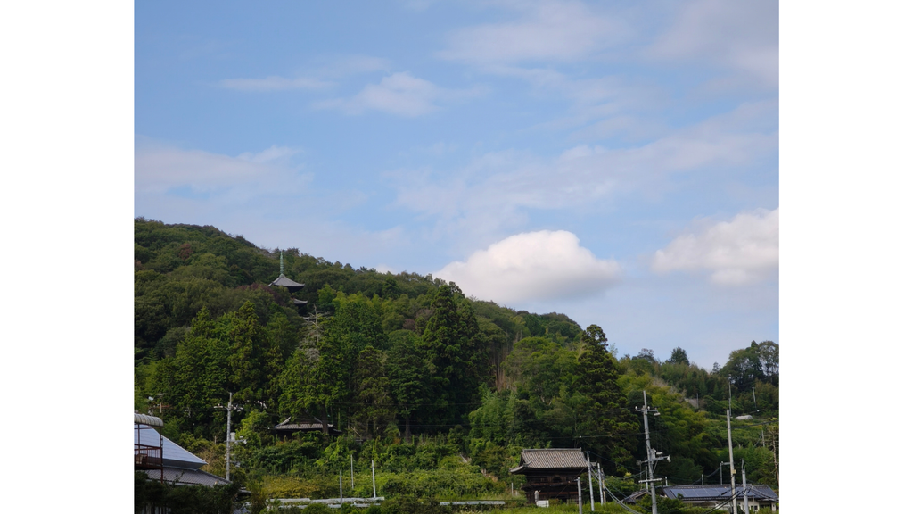 金山寺 ふもとから見た三重塔と仁王門